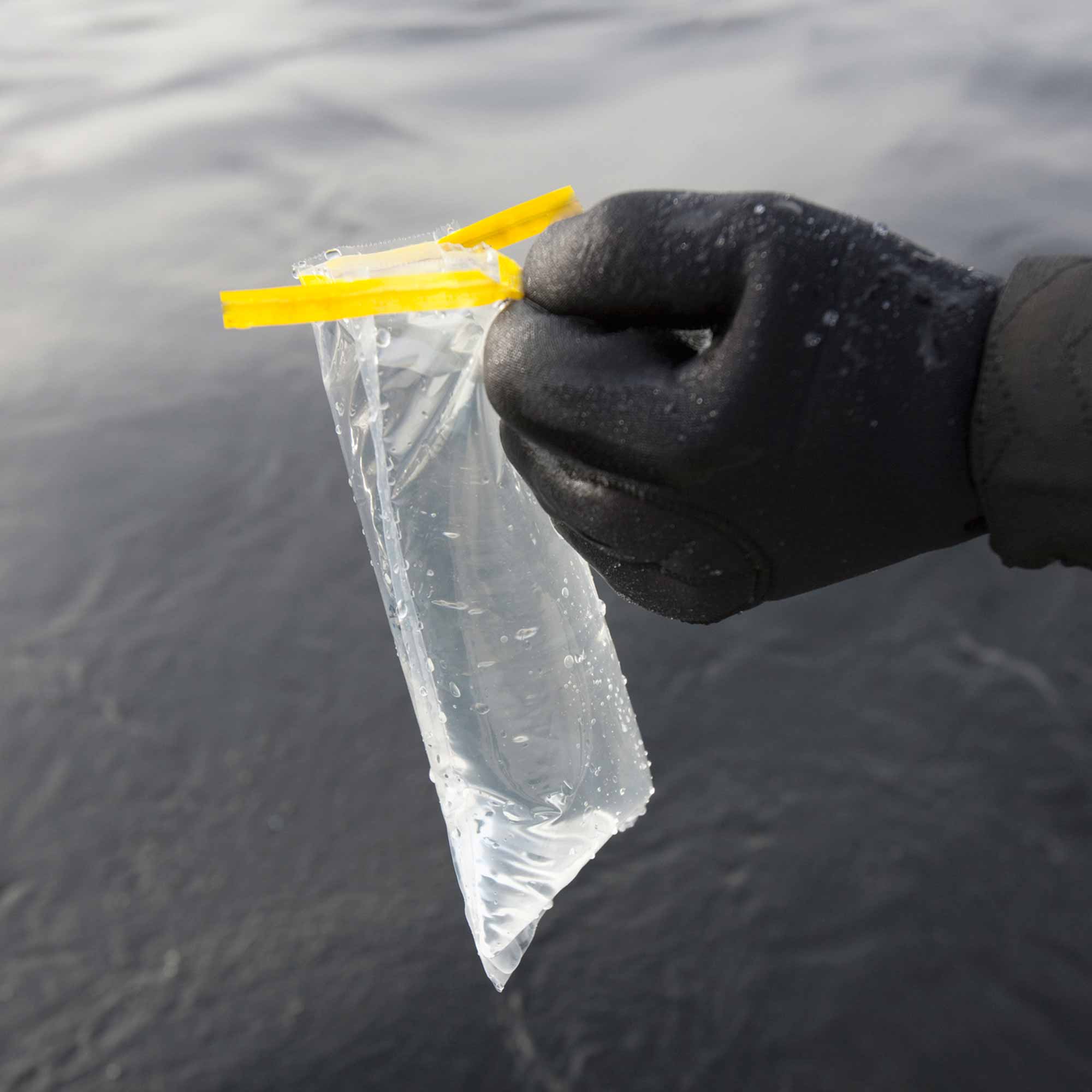 Bolsas de para desinfectar el | I'MNOVATION