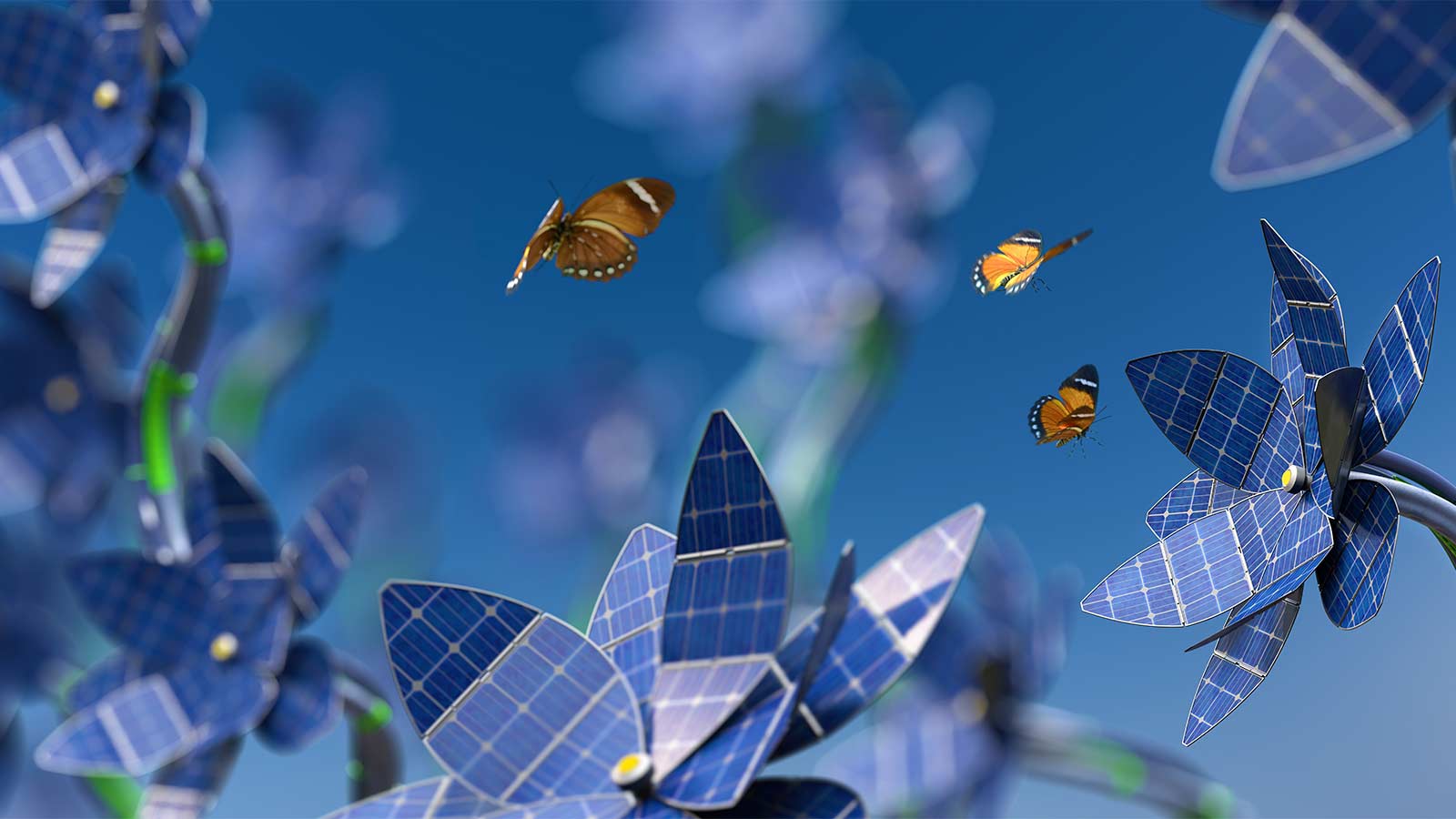 Plants Could Help Improve the Efficiency of Solar Panels