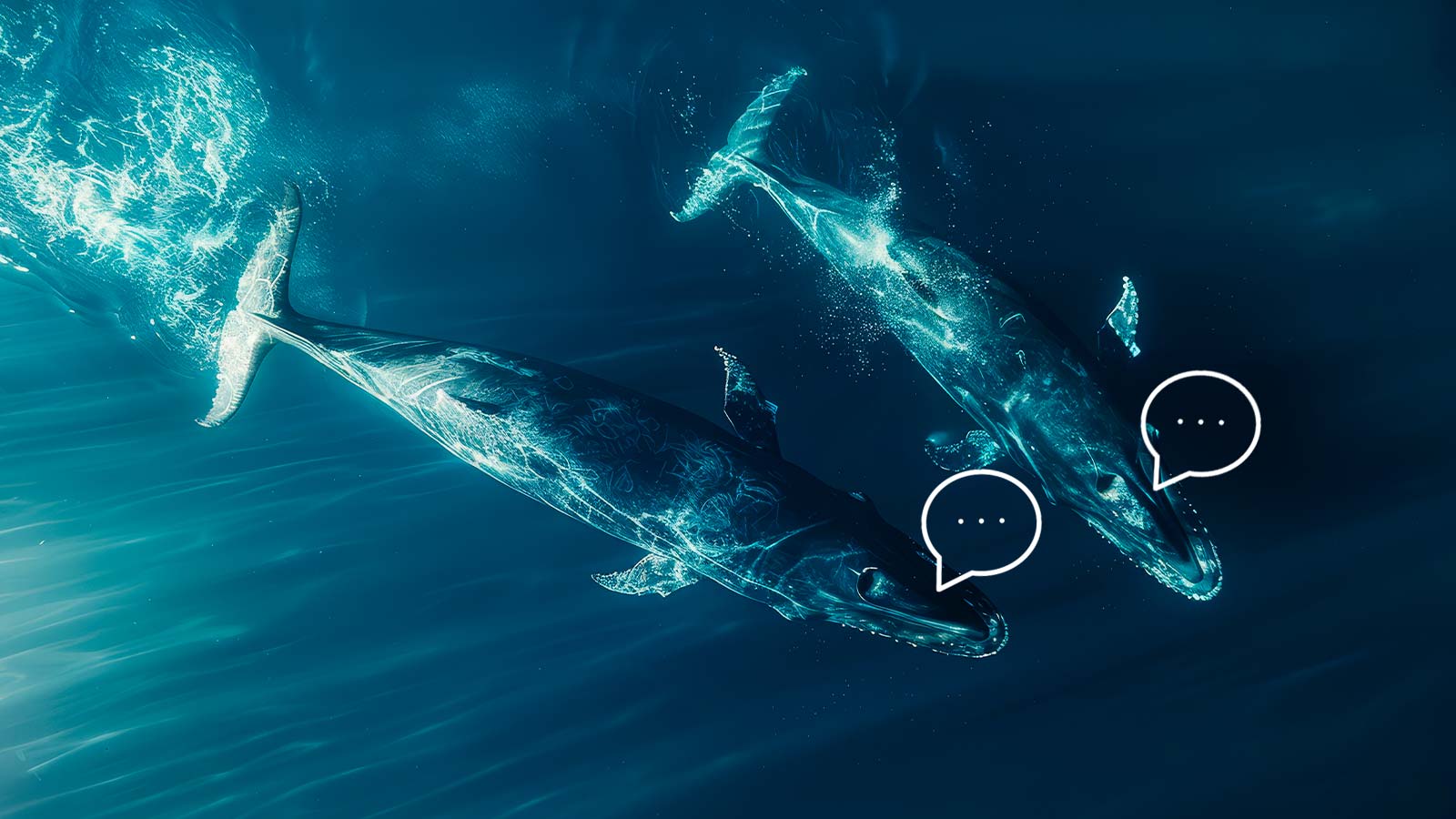 AI Reveals Complex Language Patterns in Sperm Whales