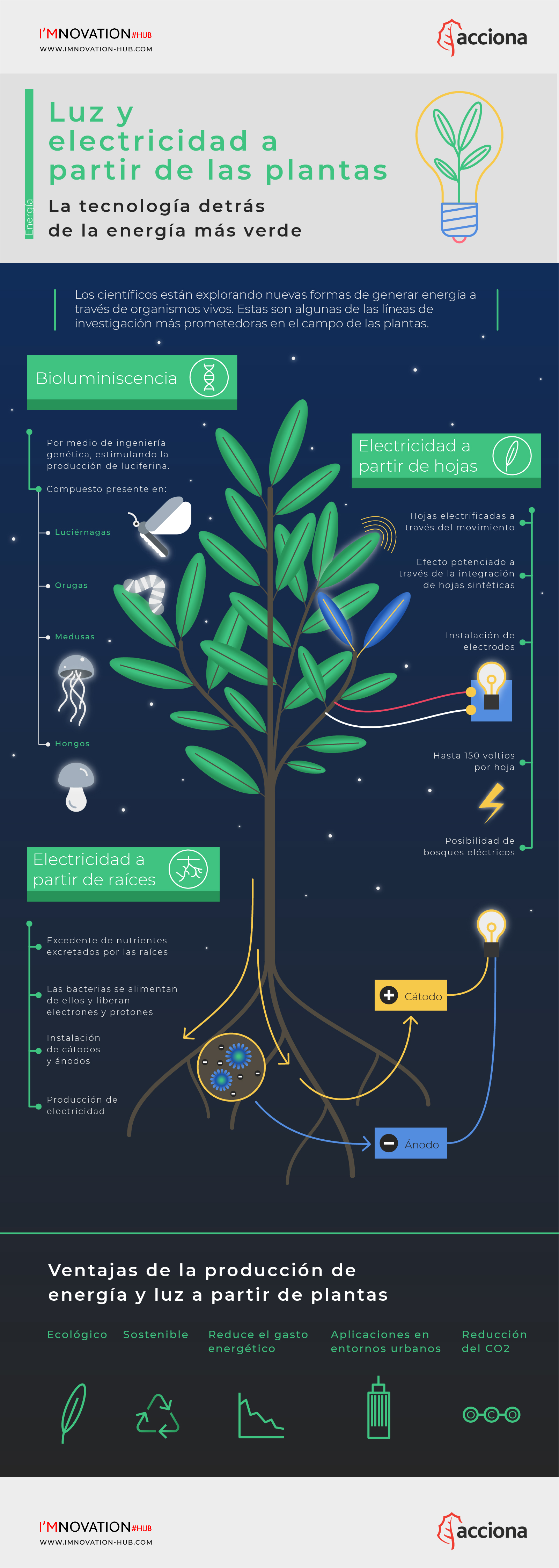 Planta Generacion Luz y Fuerza