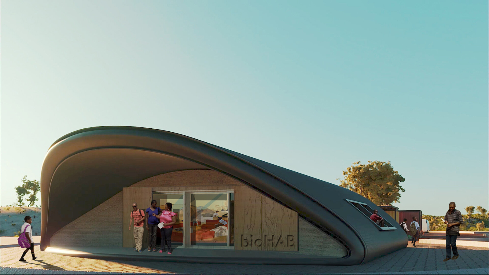 Hongos de setas hi-res stock photography and images - Alamy, image size:1600x900