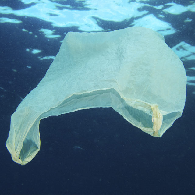 Bolsas de plástico en el mar