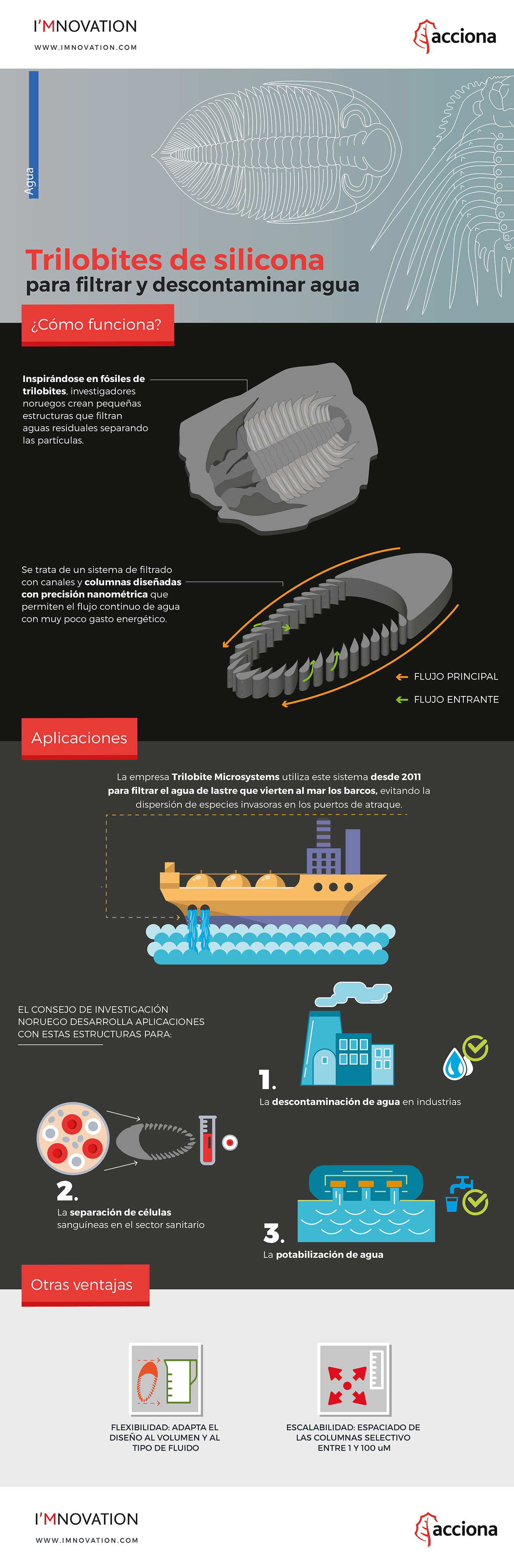 infografia