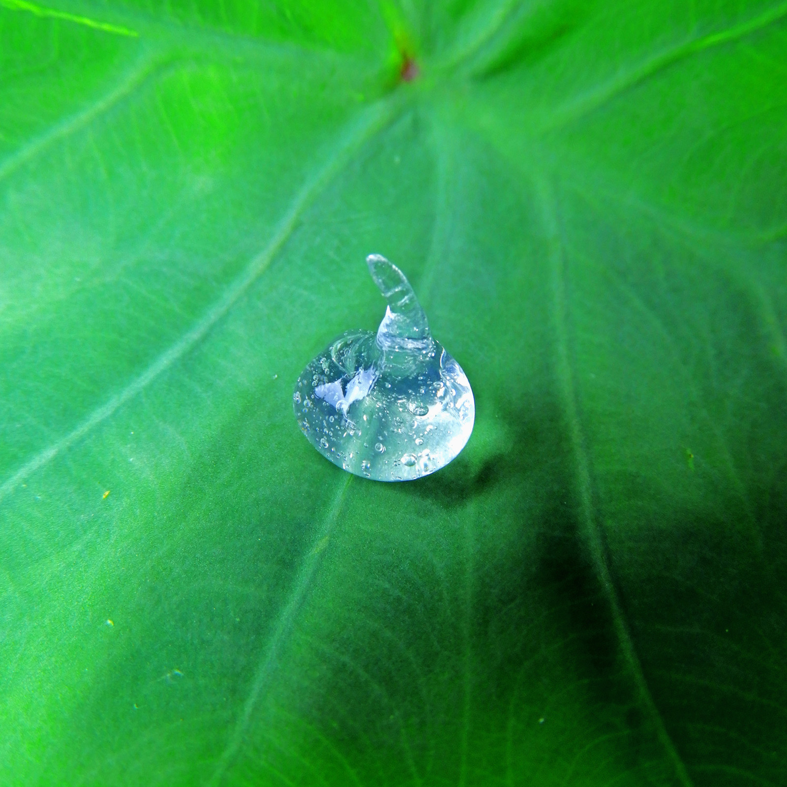 Lotus leaf inspires scientists to create world's first self